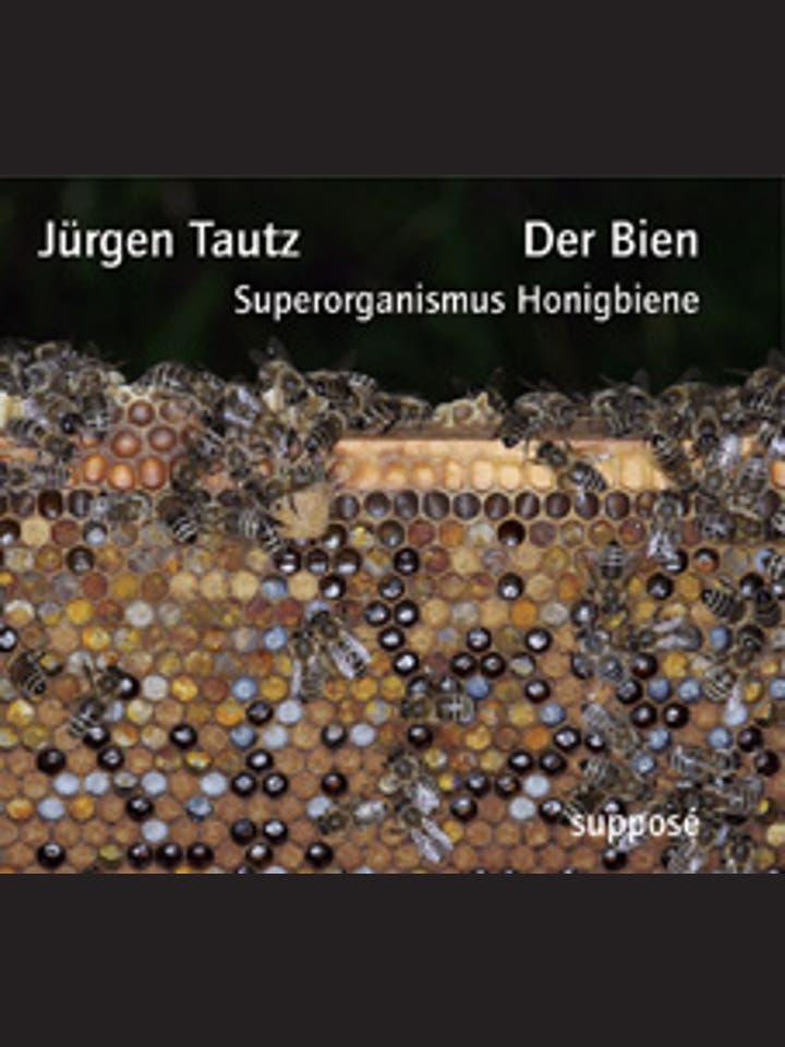 Jürgen Tautz: Der Bien - Superorganismus Honigbiene