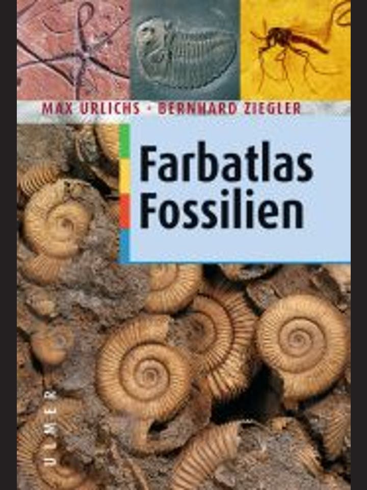 Max Urlichs und Bernhard Ziegler: Farbatlas Fossilien 