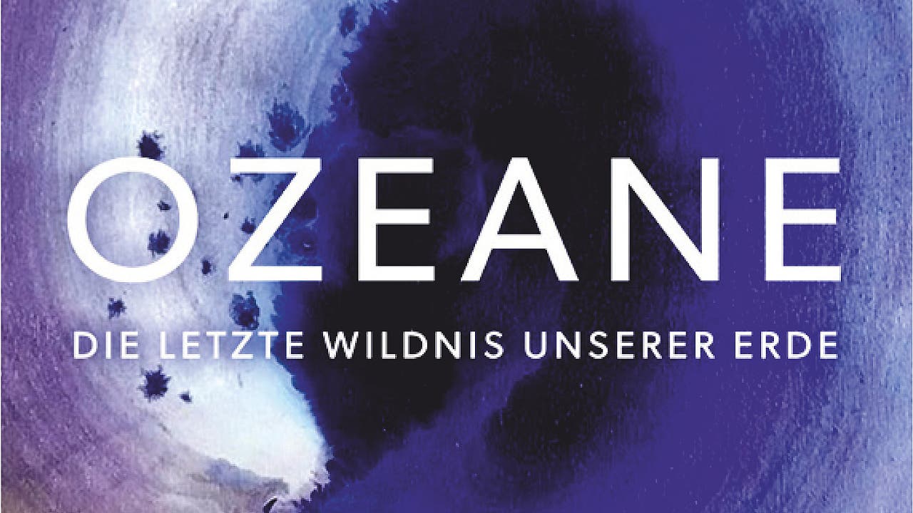 Die Optimisten und das Meer