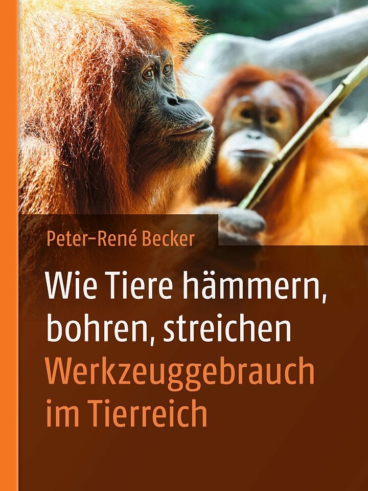 Peter-René Becker: Wie Tiere hämmern, bohren, streichen Peter-René Becker: Wie Tiere hämmern, bohren, streichen