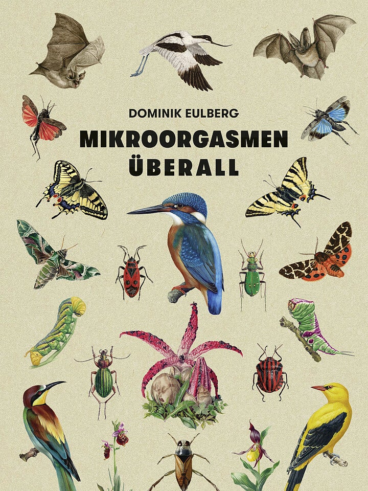 Dominik Eulberg: Mikroorgasmen überall Dominik Eulberg: Mikroorgasmen überall