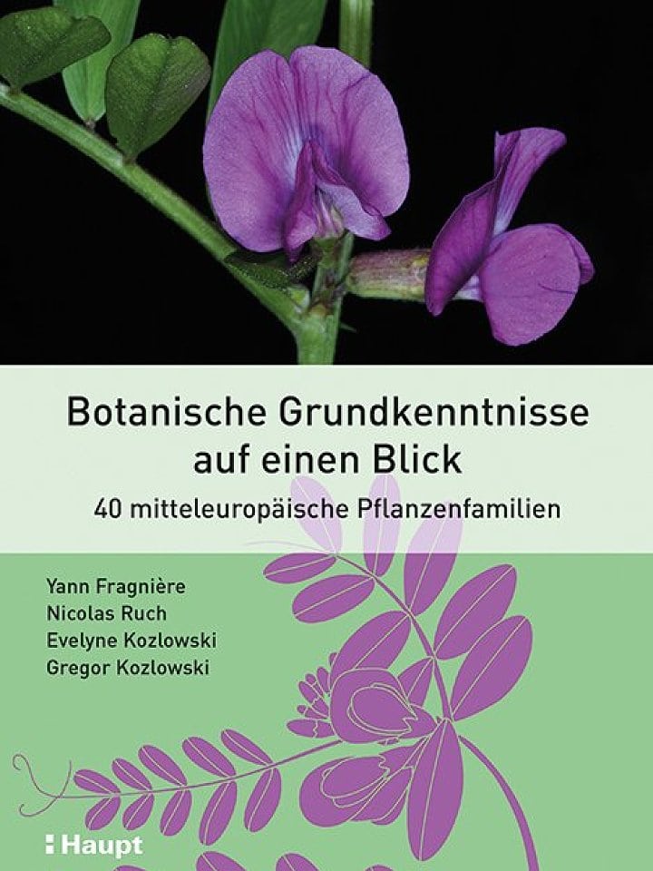 Yann Fragnière, Nicolas Ruch, Evelyne und Gregor Kozlowski: Botanische Grundkenntnisse auf einen Blick Yann Fragnière, Nicolas Ruch, Evelyne und Gregor Kozlowski: Botanische Grundkenntnisse auf einen Blick