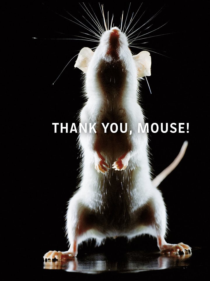 Heidi Koch, Hans-Jürgen Koch: Thank you, mouse! Heidi Koch, Hans-Jürgen Koch: Thank you, mouse!