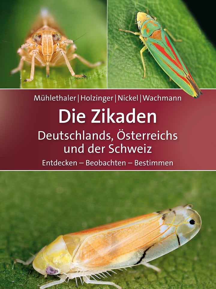 Roland Mühlethaler, Werner E. Holzinger, Herbert Nickel, Ekkehard Wachmann: Die Zikaden Deutschlands, Österreichs und der Schweiz Roland Mühlethaler, Werner E. Holzinger, Herbert Nickel, Ekkehard Wachmann: Die Zikaden Deutschlands, Österreichs und der Schweiz