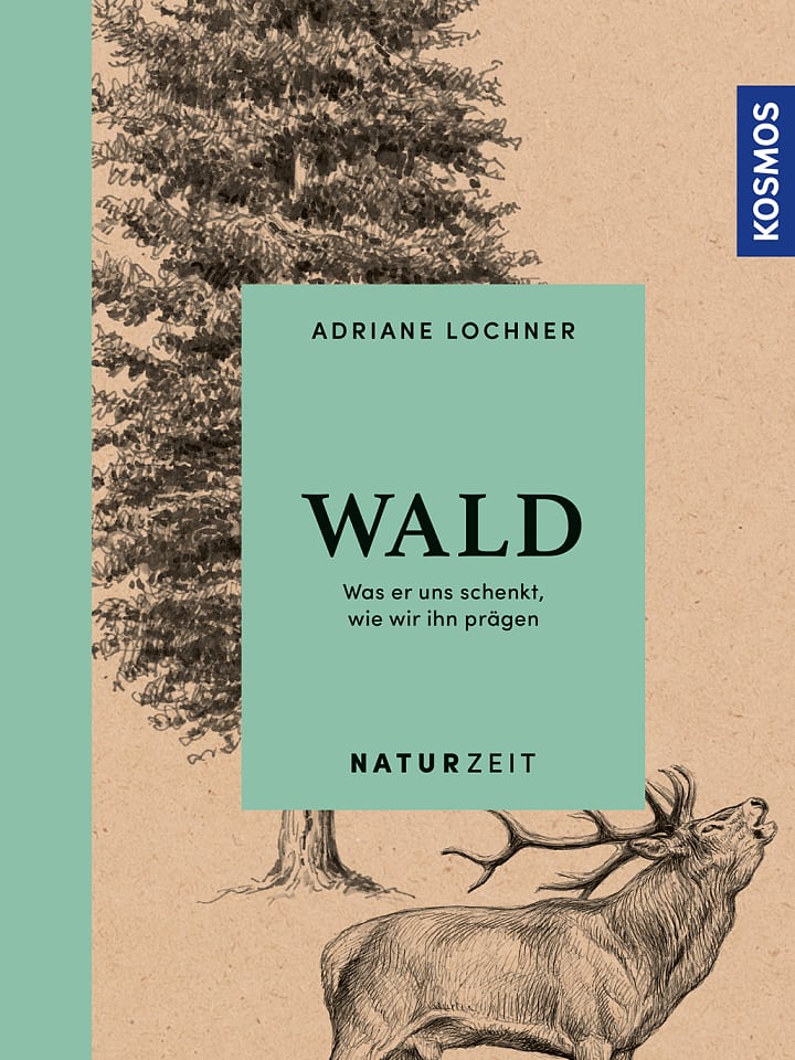 Adriane Lochner: Wald Adriane Lochner: Wald