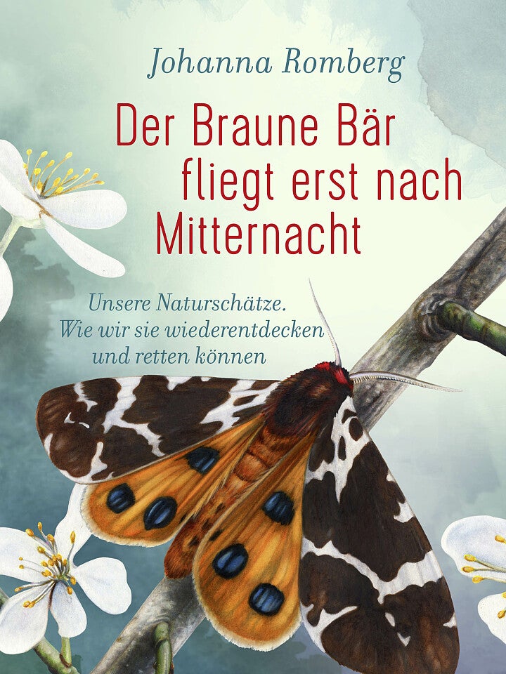 Johanna Romberg: Der Braune Bär fliegt nur nach Mitternacht Johanna Romberg: Der Braune Bär fliegt nur nach Mitternacht