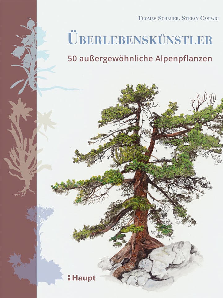 Thomas Schauer, Stefan Caspari: Überlebenskünstler Thomas Schauer, Stefan Caspari: Überlebenskünstler