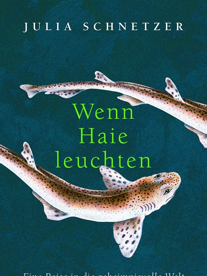 Julia Schnetzer: Wenn Haie leuchten Julia Schnetzer: Wenn Haie leuchten