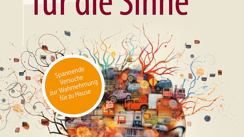 Wahrnehmung im Selbstversuch