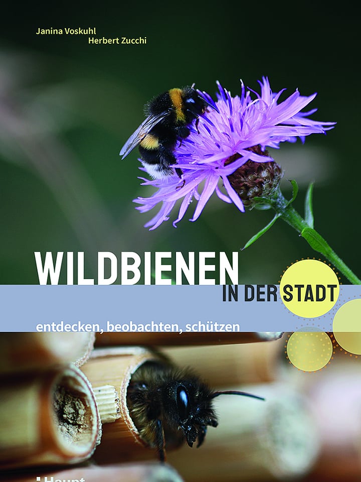 Janina Voskuhl, Herbert Zucchi: Wildbienen in der Stadt Janina Voskuhl, Herbert Zucchi: Wildbienen in der Stadt
