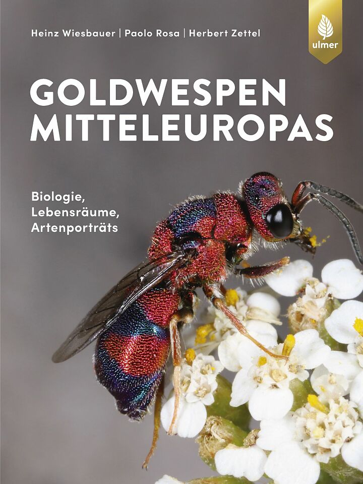 Heinz Wiesbauer, Paolo Rosa, Herbert Zettel: Die Goldwespen Mitteleuropas Heinz Wiesbauer, Paolo Rosa, Herbert Zettel: Die Goldwespen Mitteleuropas