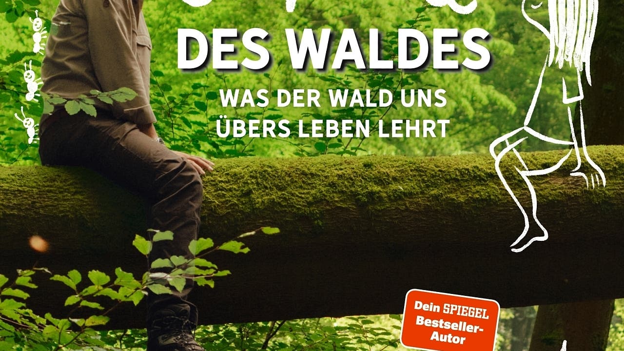 Den Wald mit allen Sinnen erleben