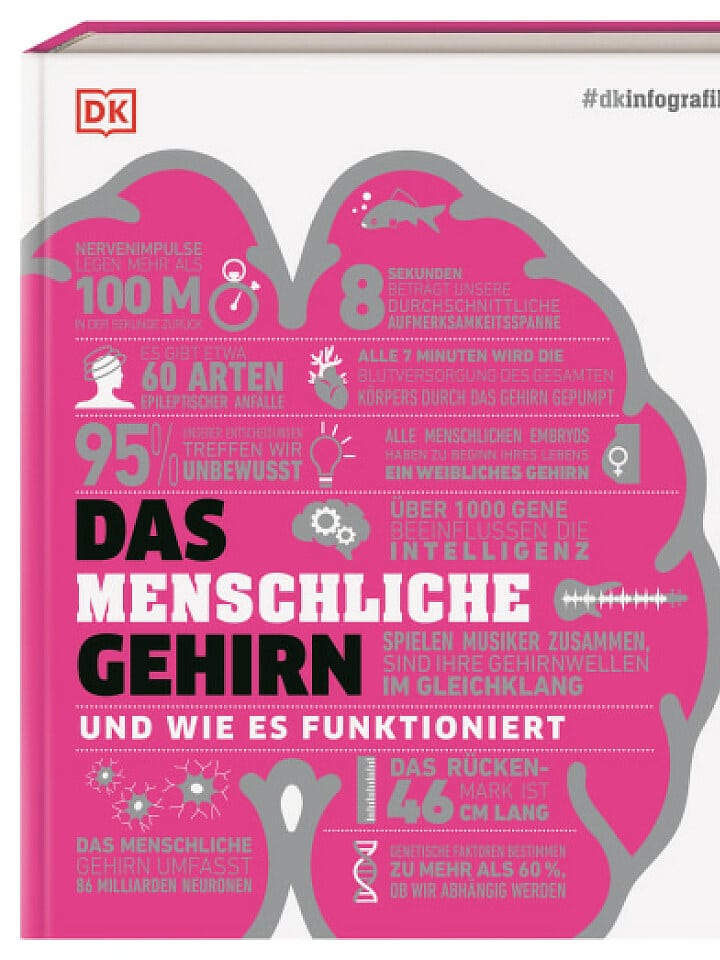 Catherine Collin, Tamara Collin, Liam Drew, Wendy Horobin, Tom Jackson, Katie John, Steve Parker, Emma Yhnell, Ginny Smith, Nicola Temple, Susan Watt : Das menschliche Gehirn Catherine Collin, Tamara Collin, Liam Drew, Wendy Horobin, Tom Jackson, Katie John, Steve Parker, Emma Yhnell, Ginny Smith, Nicola Temple, Susan Watt : Das menschliche Gehirn