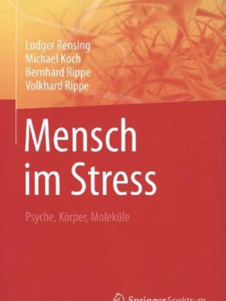 Ludger Rensing, Michael Koch, Bernhard Rippe, Volkhard Rippe: Mensch im Stress Ludger Rensing, Michael Koch, Bernhard Rippe, Volkhard Rippe: Mensch im Stress