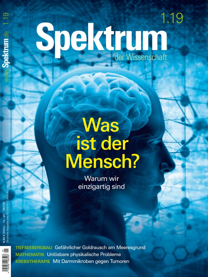 Januar 2019 Januar 2019