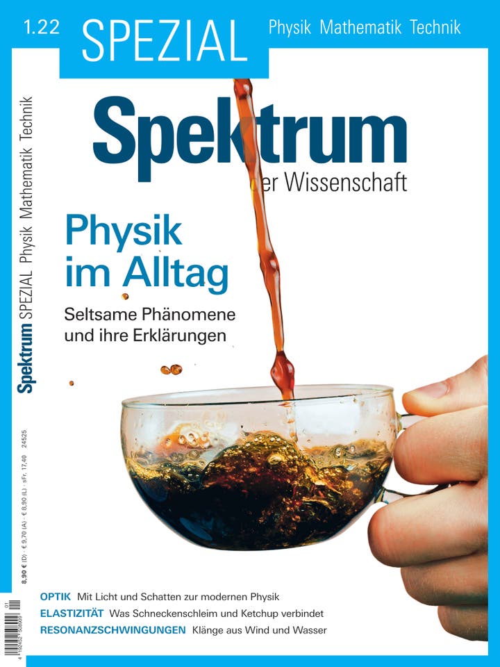 Spektrum Spezial Physik - Mathematik - Technik 1/2022 Cover