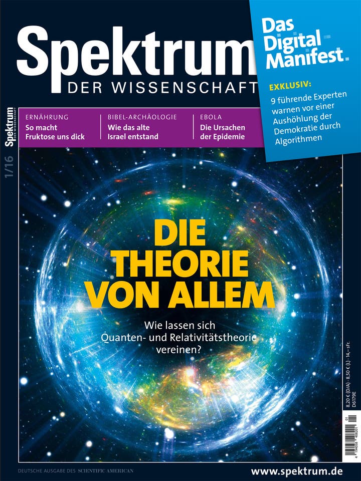 Spektrum der Wissenschaft - 1/2016 - Die Theorie von Allem