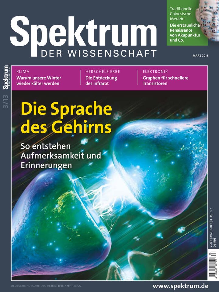 Spektrum der Wissenschaft - 3/2013 - Die Sprache des Gehirns