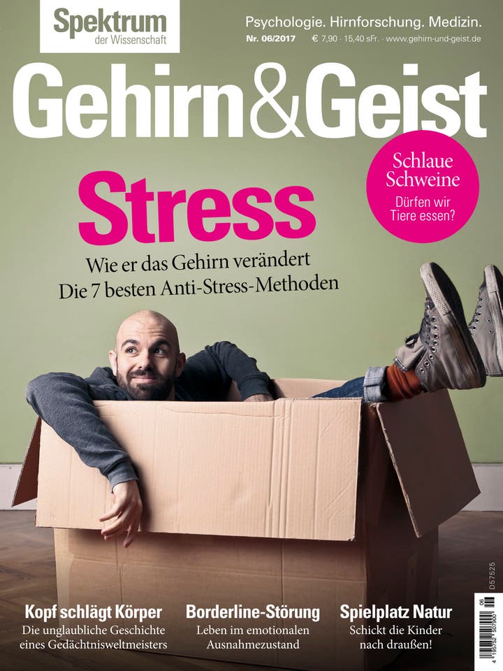 Gehirn&Geist - 6/2017 - Stress