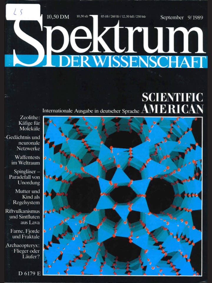 Spektrum der Wissenschaft - 9/1989 - September 1989