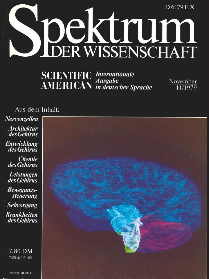 Spektrum der Wissenschaft - 11/1979 - November 1979