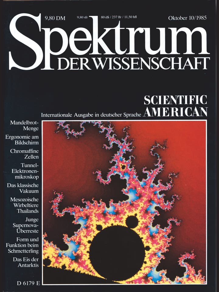 Spektrum der Wissenschaft – 10/1985 – Oktober 1985