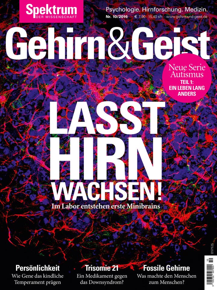Gehirn&Geist - 10/2016 - Lasst Hirn wachsen