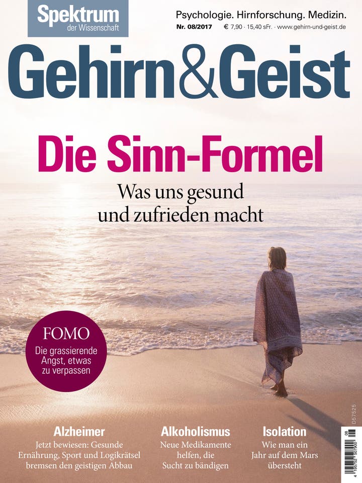 Gehirn&Geist - 8/2017 - Die Sinn-Formel