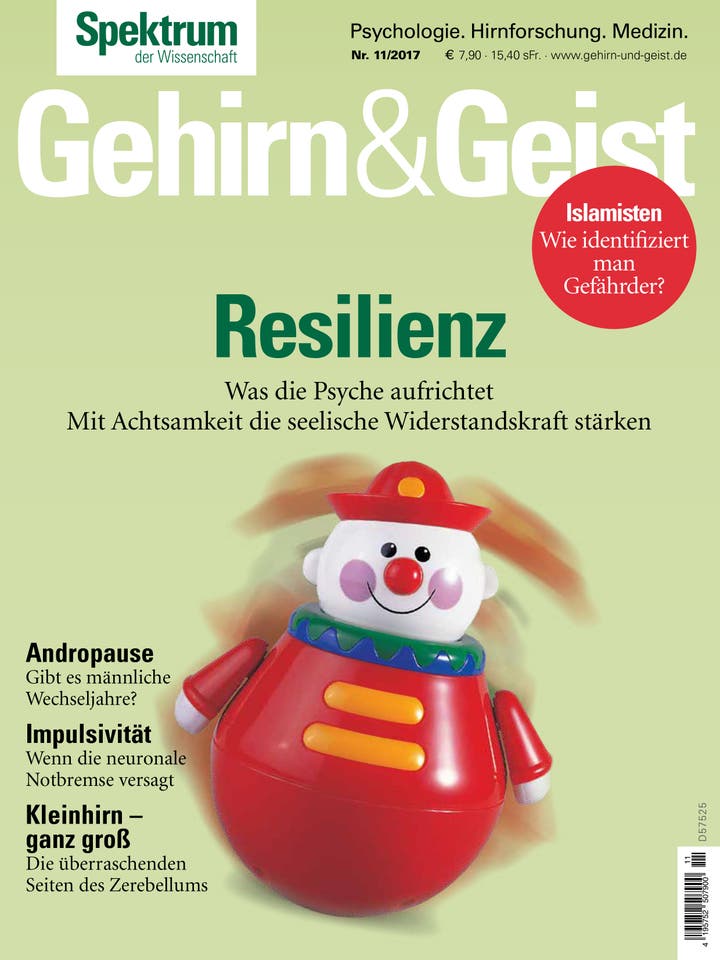 Gehirn&Geist - 11/2017 - Resilienz