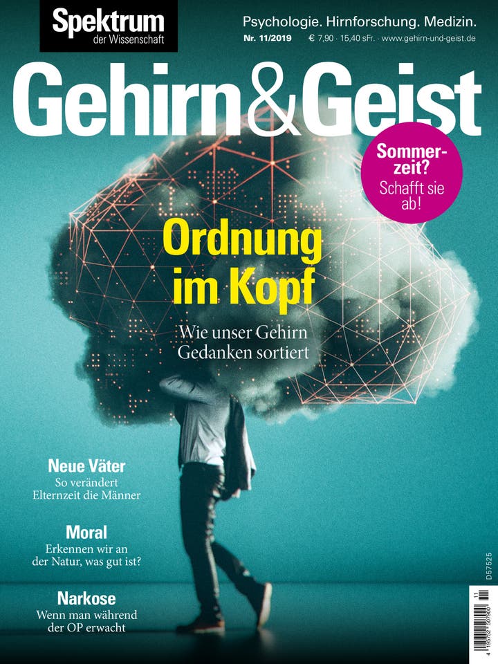 Gehirn&Geist - 11/2019 - Ordnung im Kopf