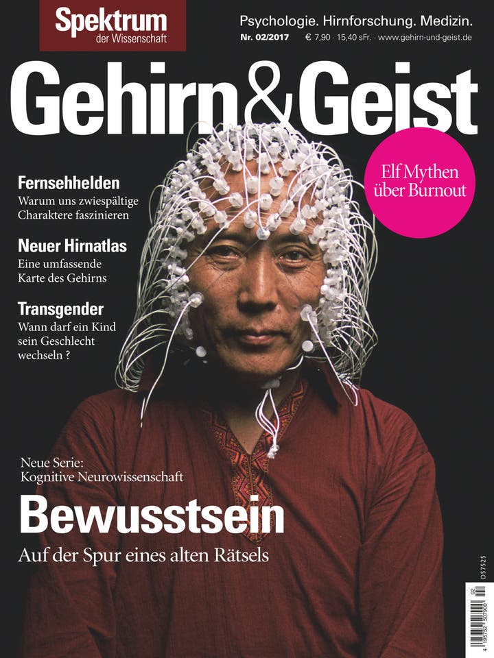 Gehirn&Geist - 2/2017 - Bewusstsein