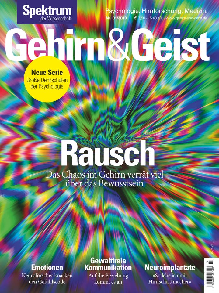 Gehirn&Geist - 1/2019 - Rausch