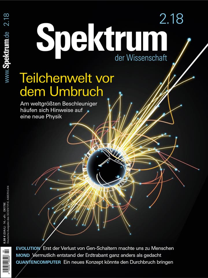 Spektrum der Wissenschaft - 2/2018 - Teilchenwelt vor dem Umbruch