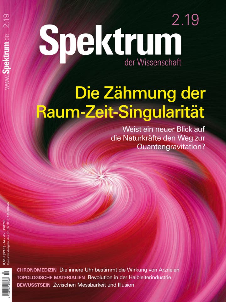Spektrum der Wissenschaft – 2/2019 – Die Zähmung der Raum-Zeit-Singularität