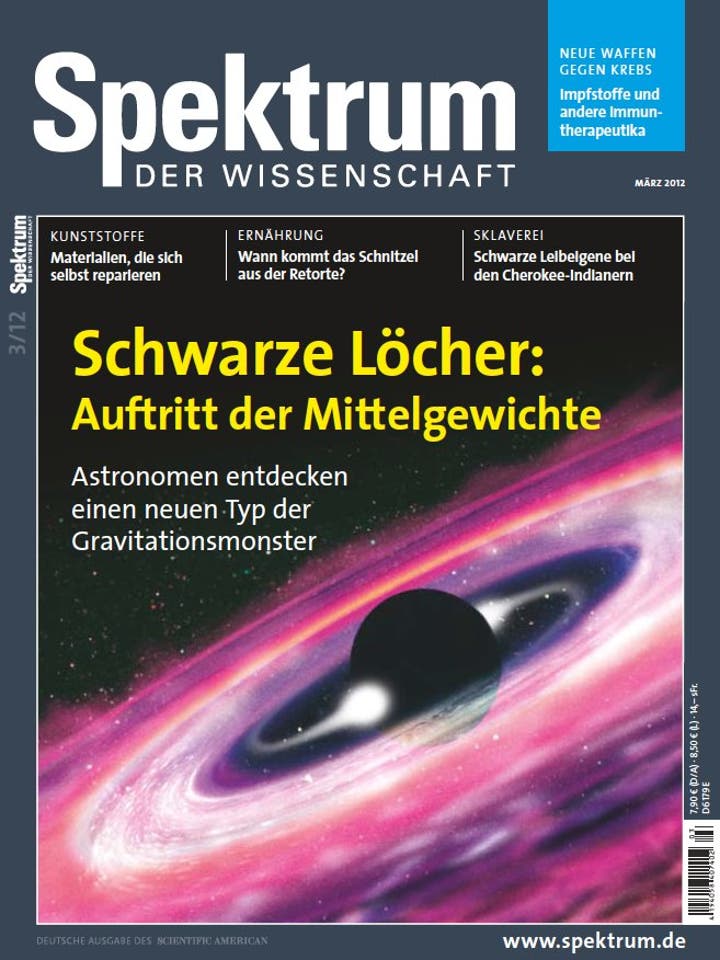 Spektrum der Wissenschaft – 3/2012 – März 2012