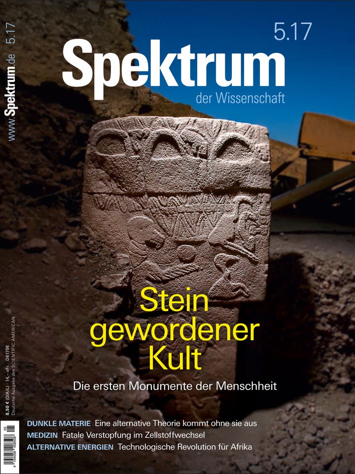 Spektrum der Wissenschaft – 5/2017 – Stein gewordener Kult