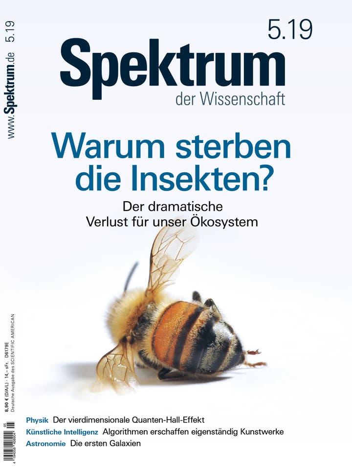 Spektrum der Wissenschaft – 5/2019 – Warum sterben die Insekten?