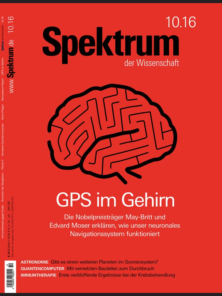 Spektrum der Wissenschaft – 10/2016 – GPS im Gehirn
