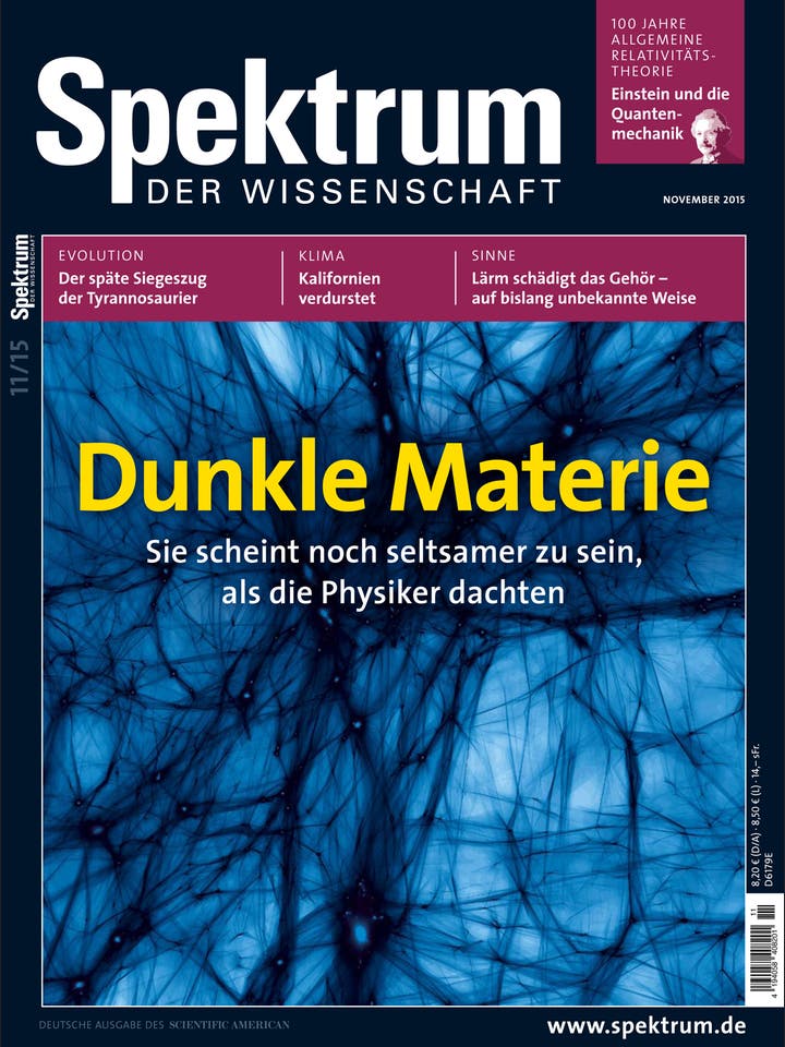 Spektrum der Wissenschaft - 11/2015 - Dunkle Materie