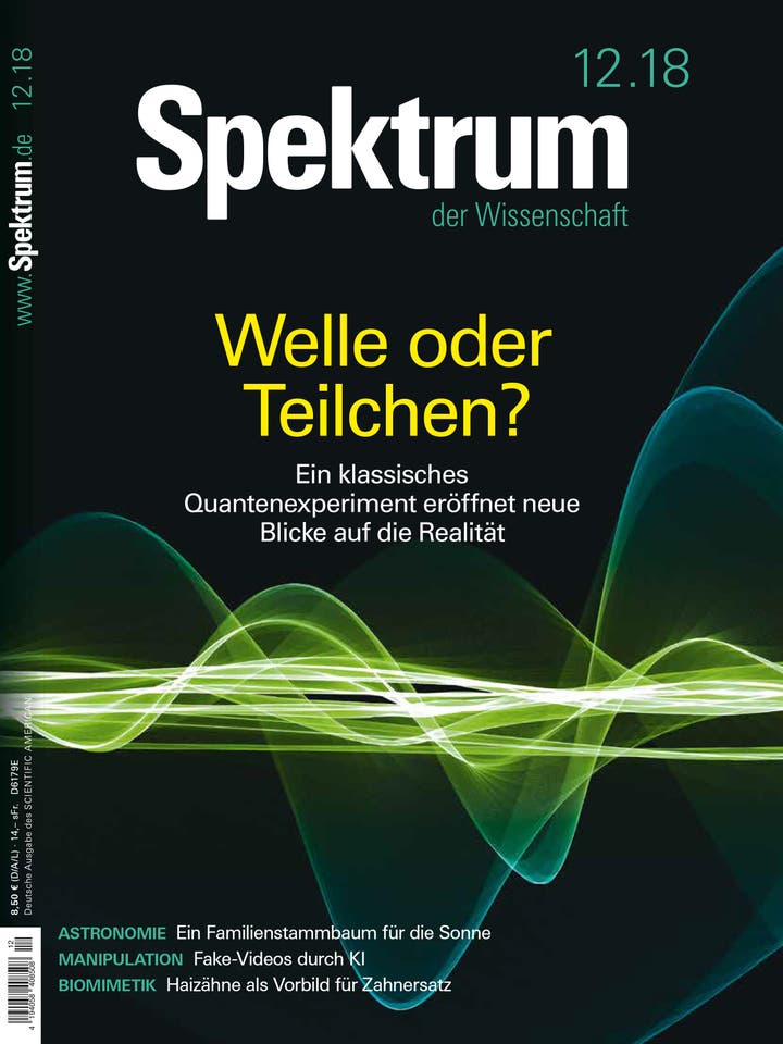 Spektrum der Wissenschaft - 12/2018 - Welle oder Teilchen?
