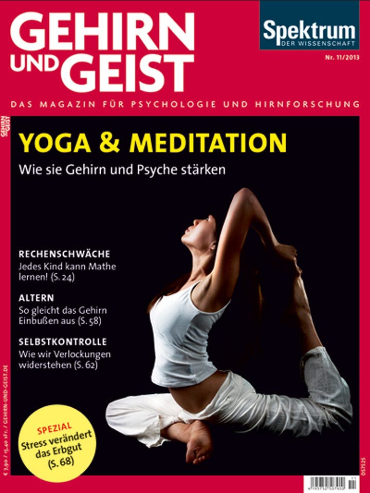 Gehirn&Geist - 11/2013 - Yoga & Meditation