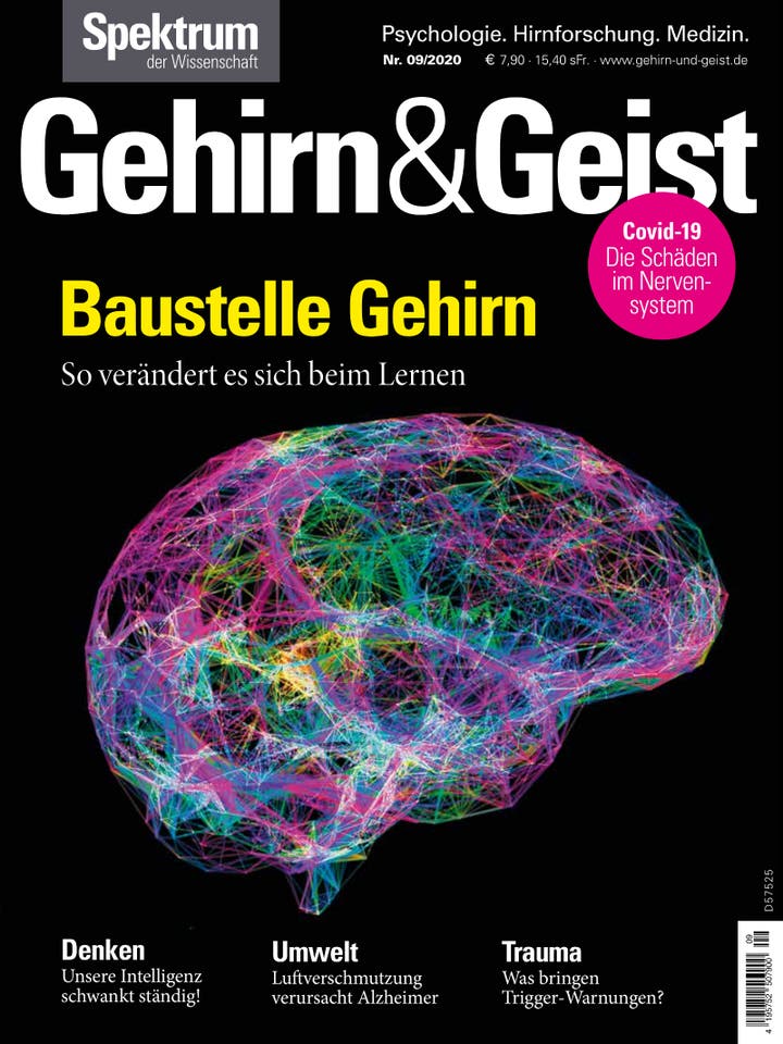 Gehirn&Geist – 9/2020 – Baustelle Gehirn