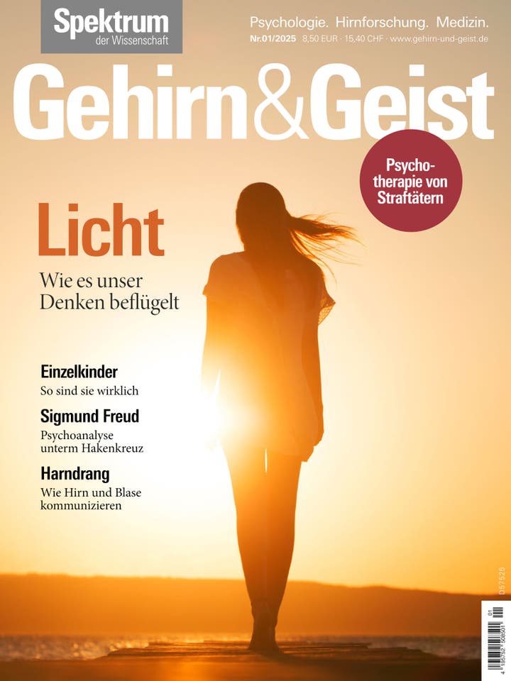 Gehirn&Geist – 1/2025 – Licht – Wie es unser Denken beflügelt