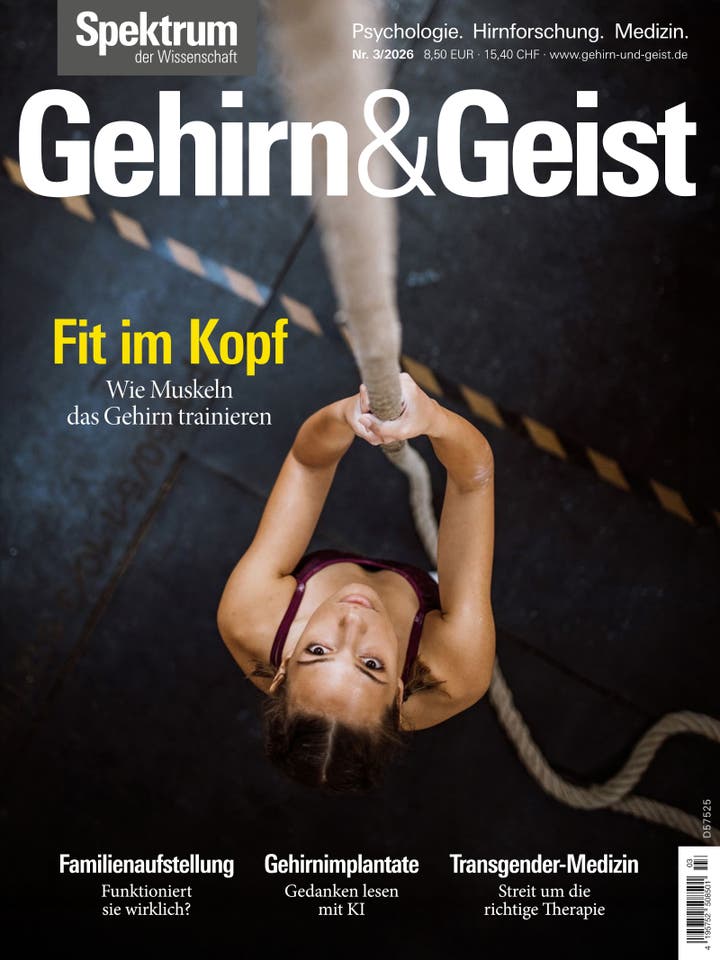 Fit im Kopf