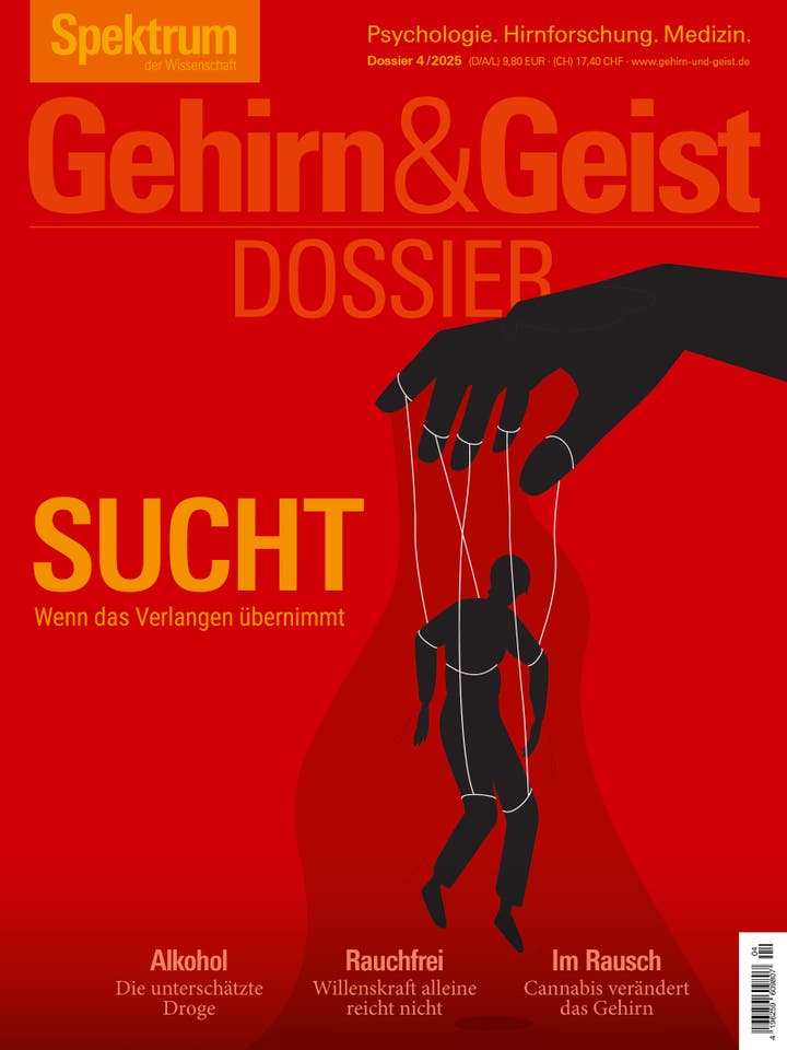  Sucht – Wenn das Verlangen übernimmt