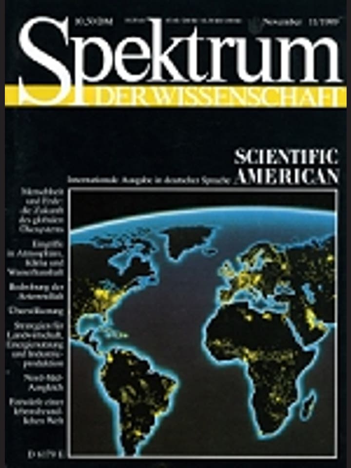 Spektrum der Wissenschaft - 11/1989 - November 1989
