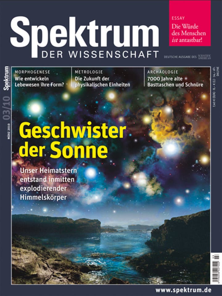 Spektrum der Wissenschaft – 3/2010 – Geschwister der Sonne
