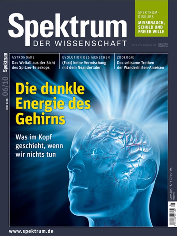Spektrum der Wissenschaft - 6/2010 - Die dunke Energie des Gehirns