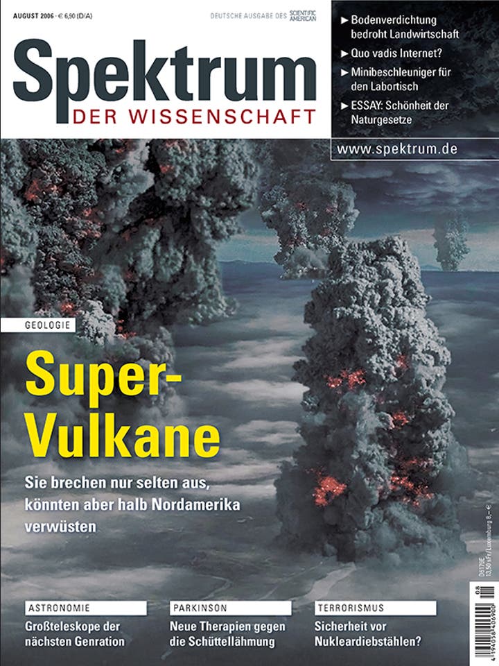 Spektrum der Wissenschaft - 8/2006 - August 2006