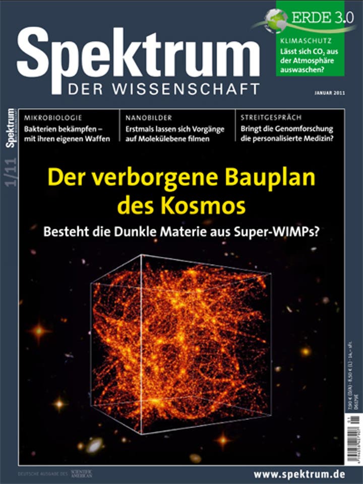 Spektrum der Wissenschaft - 1/2011 - Januar 2011
